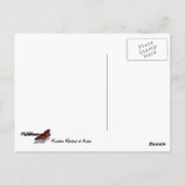 Berg Bluebird in Arches National Park Briefkaart (Achterkant)