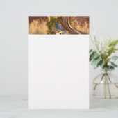 Berg Bluebird in Arches National Park Briefpapier (Staand voorkant)