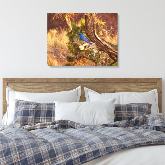 Berg Bluebird in Arches National Park Canvas Afdruk (Insitu (Slaapkamer))