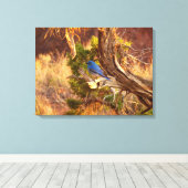 Berg Bluebird in Arches National Park Canvas Afdruk (Insitu (Houten vloer))