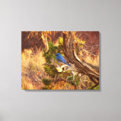 Berg Bluebird in Arches National Park Canvas Afdruk (Voorkant)