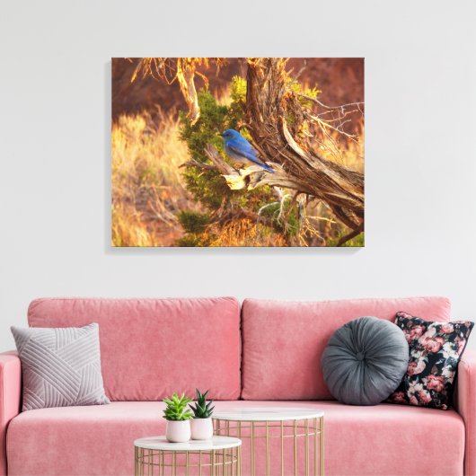 Berg Bluebird in Arches National Park Canvas Afdruk (Insitu (Woonkamer))