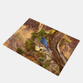 Berg Bluebird in Arches National Park Deurmat (Schuin)