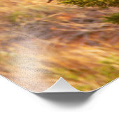 Berg Bluebird in Arches National Park Foto Afdruk (Hoek)