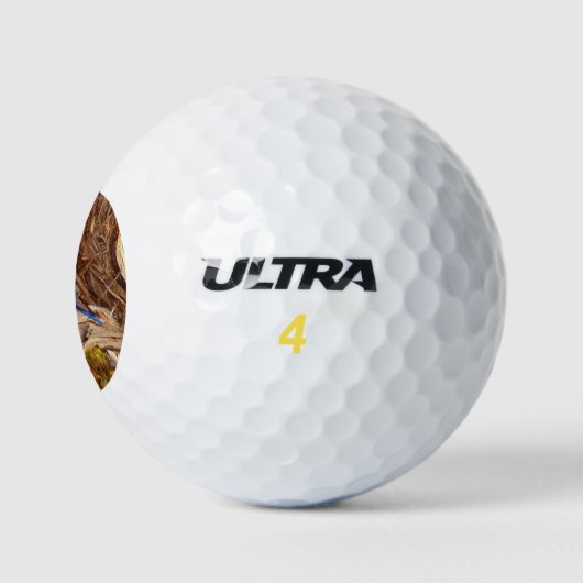 Berg Bluebird in Arches National Park Golfballen (Logo)