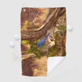 Berg Bluebird in Arches National Park Golfhanddoek (Insitu)