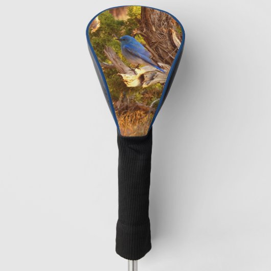 Berg Bluebird in Arches National Park Golfheadcover (Voorkant)