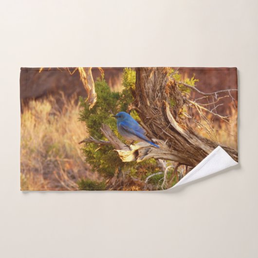 Berg Bluebird in Arches National Park Handdoek (Handdoek)