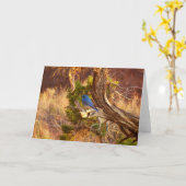 Berg Bluebird in Arches National Park Kaart (Gele Bloem)