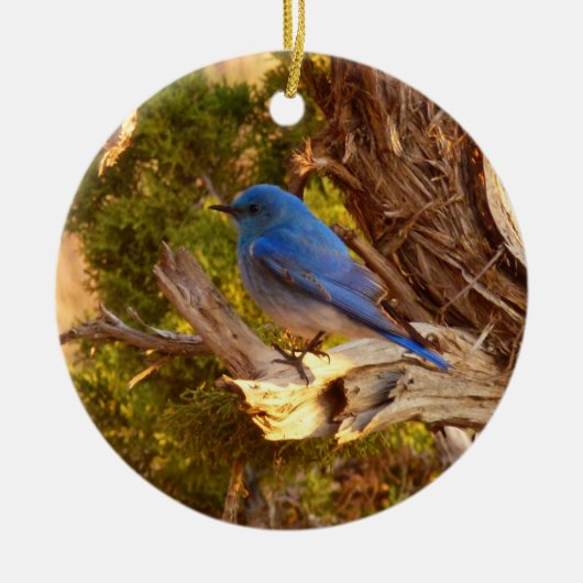 Berg Bluebird in Arches National Park Keramisch Ornament (Voorkant)