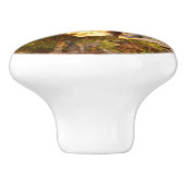 Berg Bluebird in Arches National Park Keramische Knop (Zijkant)