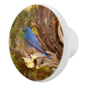 Berg Bluebird in Arches National Park Keramische Knop (Rechts)