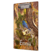 Berg Bluebird in Arches National Park Klembord (Links)