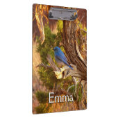 Berg Bluebird in Arches National Park Klembord (Rechts)