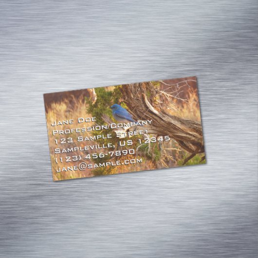 Berg Bluebird in Arches National Park Magnetisch Visitekaartje (Voorbeeld)