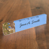 Berg Bluebird in Arches National Park Naambordje (Zijkant)