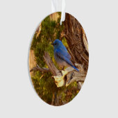 Berg Bluebird in Arches National Park Ornament (voorkant)