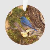 Berg Bluebird in Arches National Park Ornament (voorkant)
