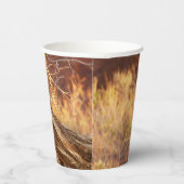 Berg Bluebird in Arches National Park Papieren Bekers (Rechts)