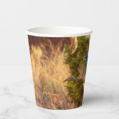 Berg Bluebird in Arches National Park Papieren Bekers (Voorkant)