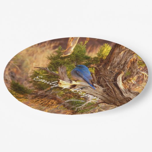 Berg Bluebird in Arches National Park Papieren Bordje (Gekanteld)