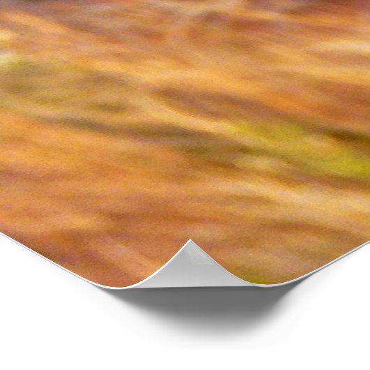 Berg Bluebird in Arches National Park Poster (Hoek)