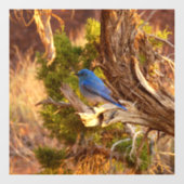 Berg Bluebird in Arches National Park Raamsticker (Vel)
