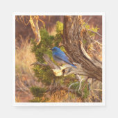Berg Bluebird in Arches National Park Servet (Voorkant)