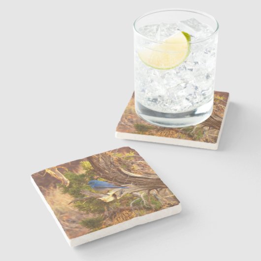 Berg Bluebird in Arches National Park Stenen Onderzetter (Zijkant)