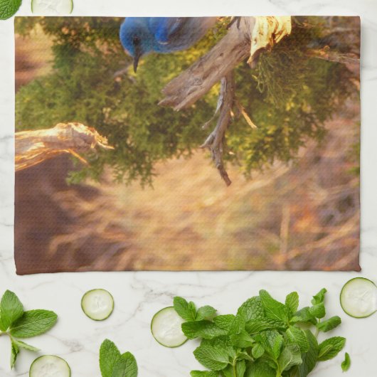 Berg Bluebird in Arches National Park Theedoek (Gevouwen)