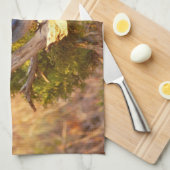 Berg Bluebird in Arches National Park Theedoek (Quarter Fold)