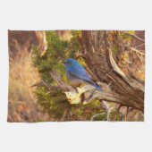 Berg Bluebird in Arches National Park Theedoek (Horizontaal)