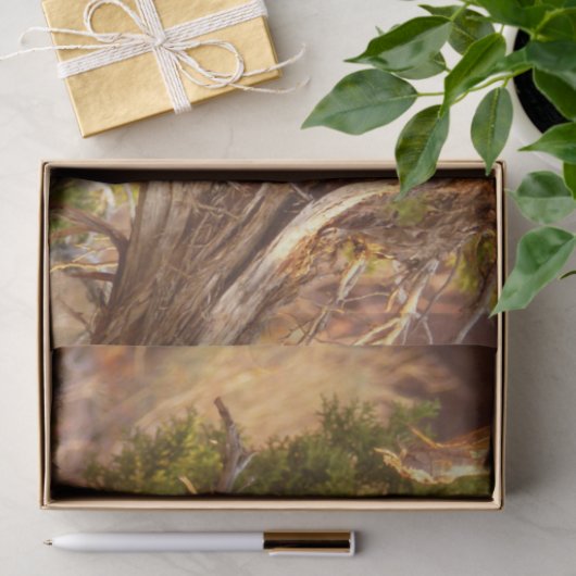 Berg Bluebird in Arches National Park Tissuepapier (Geschenk)