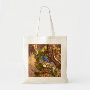 Berg Bluebird in Arches National Park Tote Bag