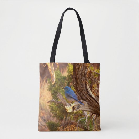 Berg Bluebird in Arches National Park Tote Bag (Voorkant)