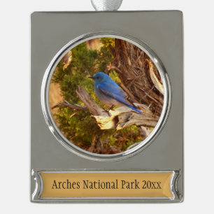 Berg Bluebird in Arches National Park Verzilverd Banner Ornament