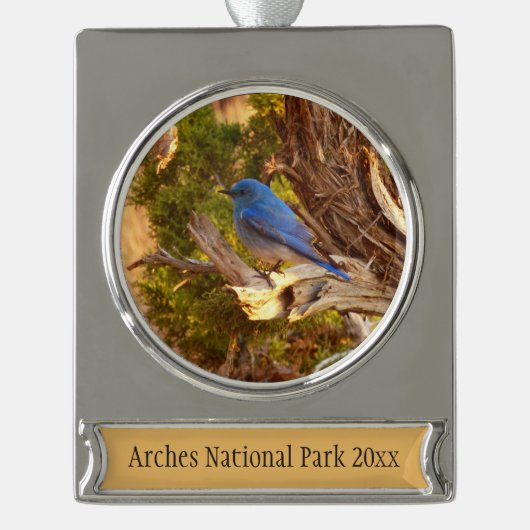 Berg Bluebird in Arches National Park Verzilverd Banner Ornament (Voorkant)
