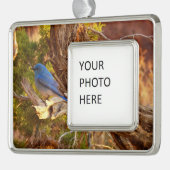 Berg Bluebird in Arches National Park Verzilverd Omlijst Ornament (Links)