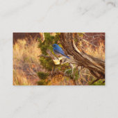 Berg Bluebird in Arches National Park Visitekaartje (Achterkant)