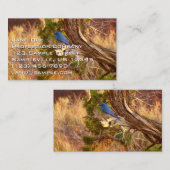 Berg Bluebird in Arches National Park Visitekaartje (Voorkant / Achterkant)