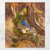 Berg Bluebird in Arches National Park Wijn Etiket (Enkel label)