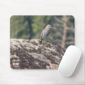 Berg Bluebird op Granite Muismat (Met muis)