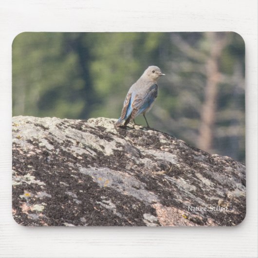 Berg Bluebird op Granite Muismat (Voorkant)