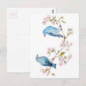 Berg Bluebird op Sakura Branch Briefkaart (Voorkant / Achterkant)