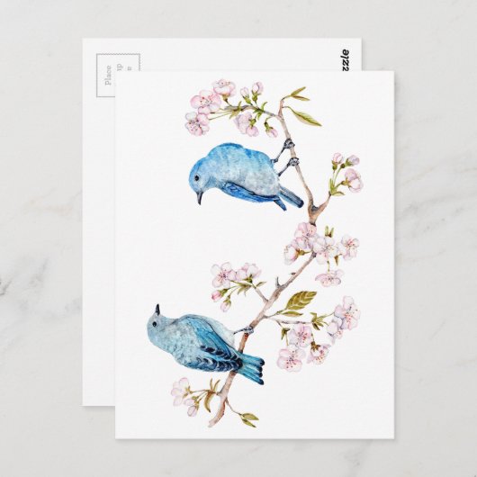 Berg Bluebird op Sakura Branch Briefkaart (Voorkant / Achterkant)