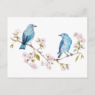 Berg Bluebird op Sakura Branch Briefkaart