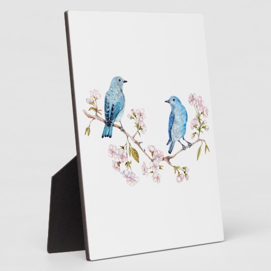 Berg Bluebird op Sakura Branch Fotoplaat (Zijkant)