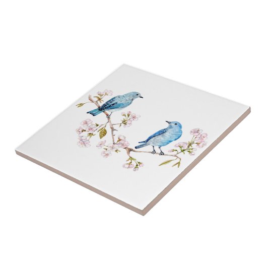 Berg Bluebird op Sakura Branch Tegeltje (Zijkant)