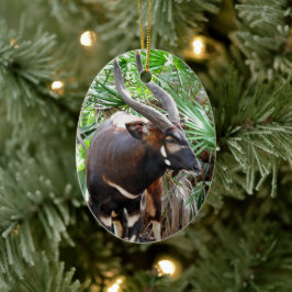 Berg Bongo Antelope Keramisch Ornament