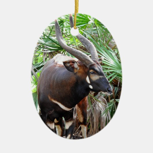 Berg Bongo Antelope Keramisch Ornament (Voorkant)